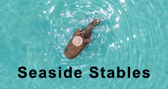 Seaside Stables