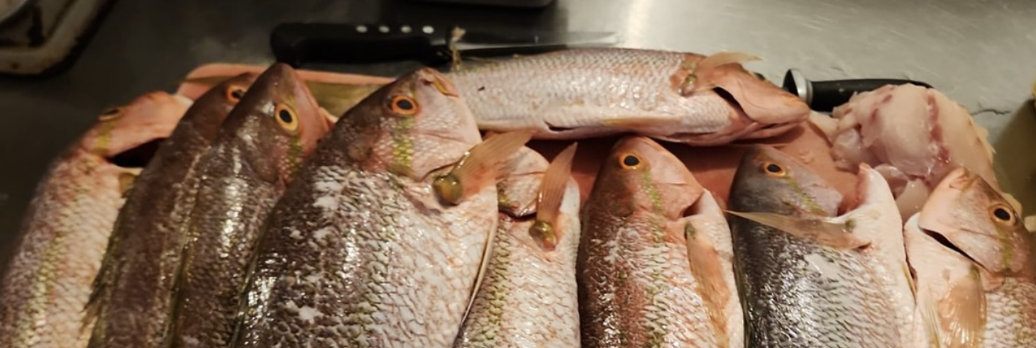 Mango's Seaside Grill