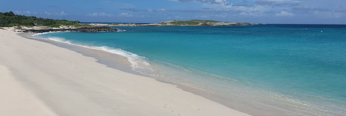 Prickly Pear Bar & Restaurant