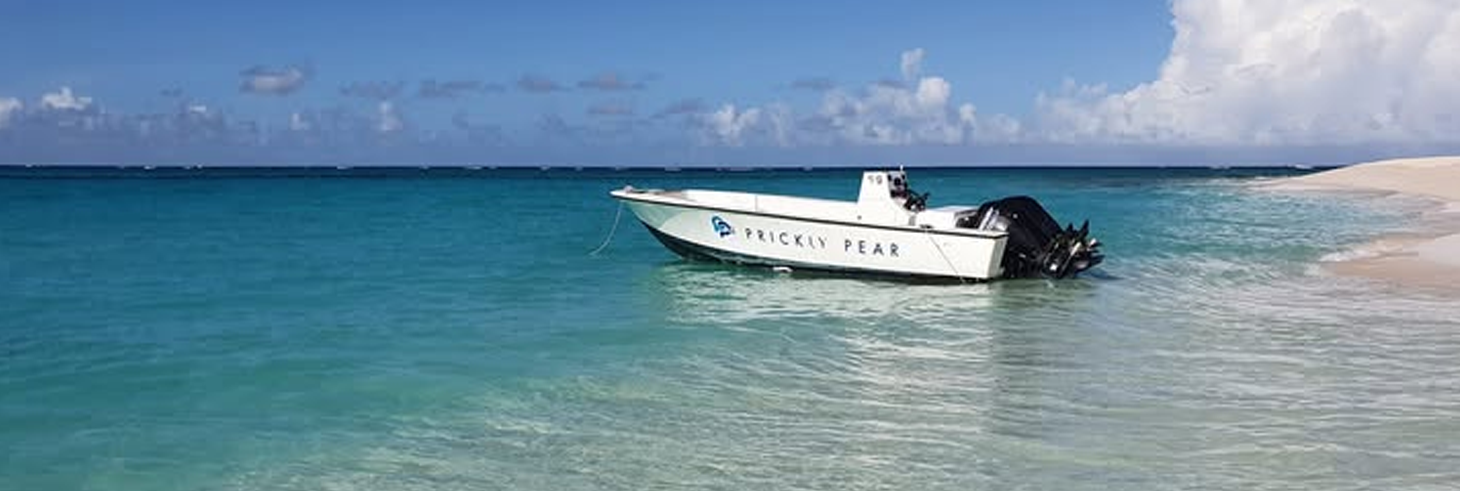 Prickly Pear Bar & Restaurant