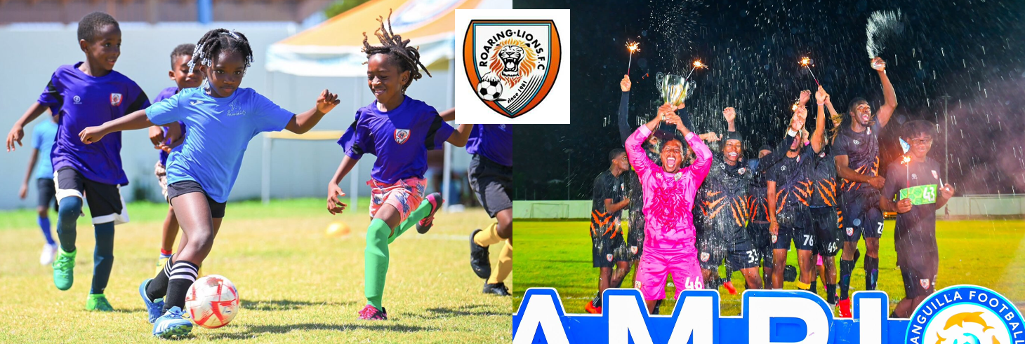 Lions Football Academy