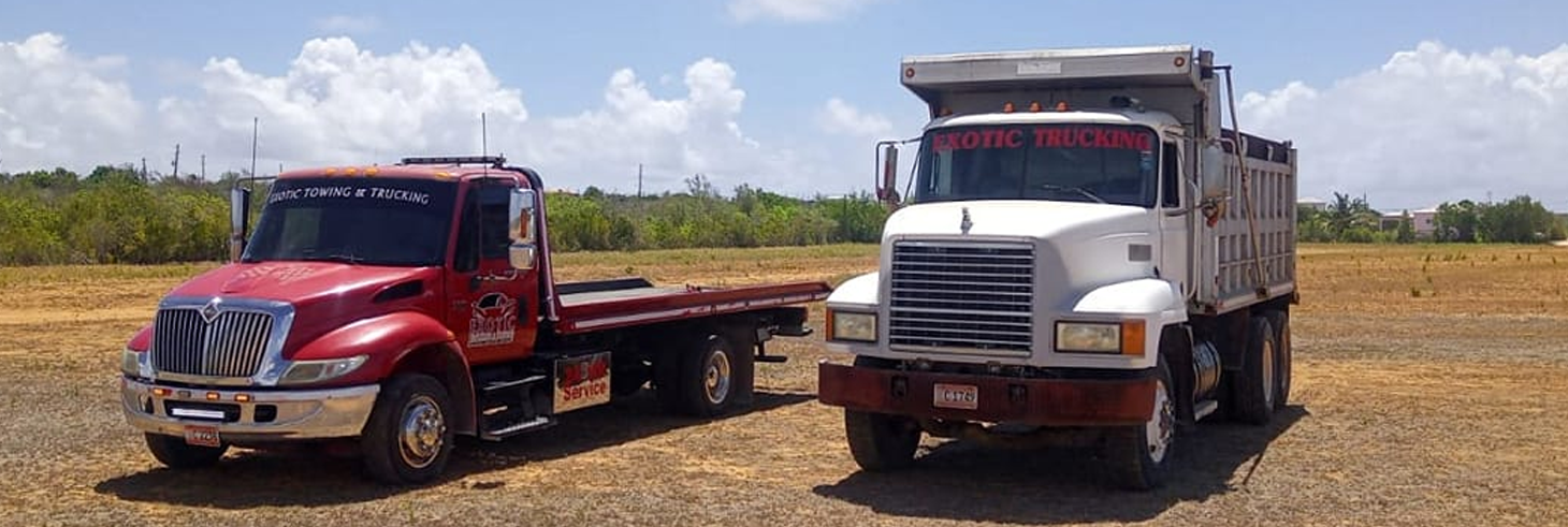 Exotic Trucking & Towing